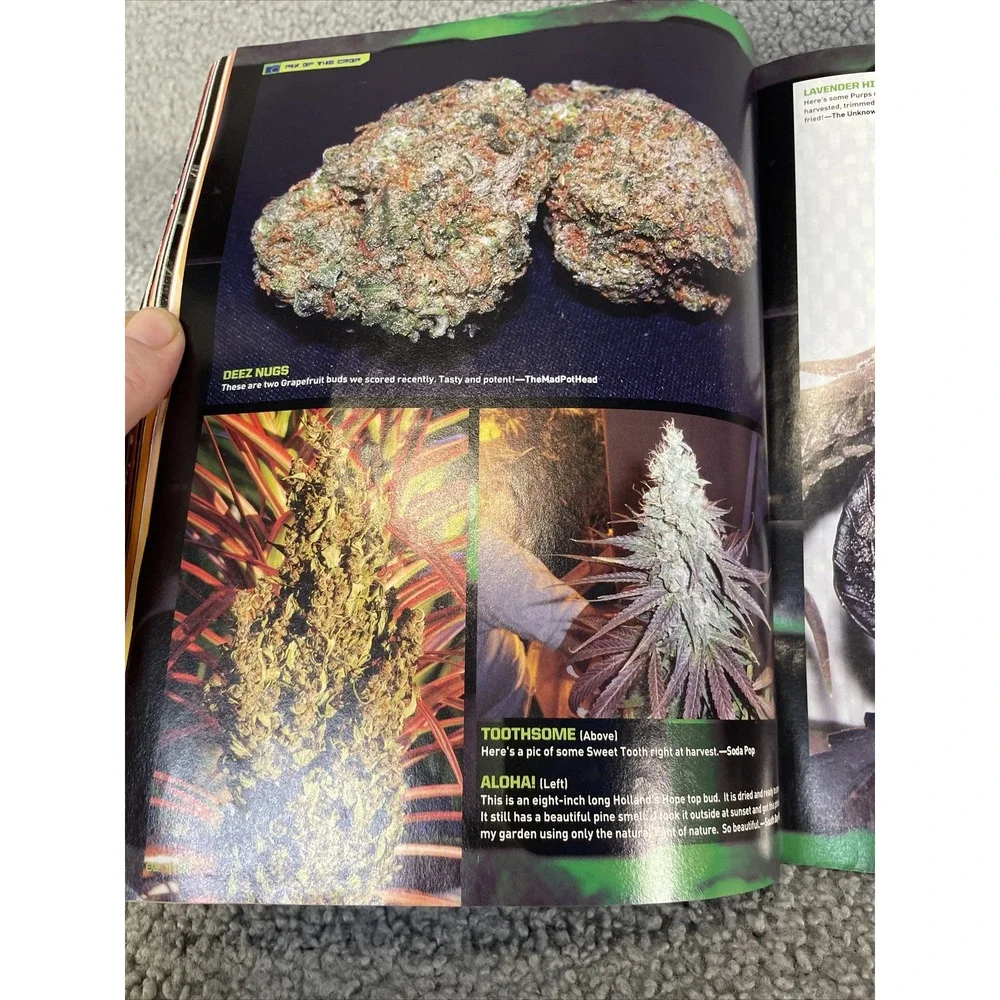 N/A high times